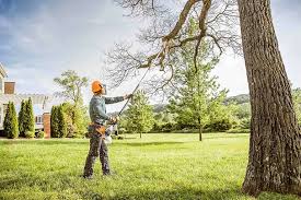 Best Storm Damage Tree Cleanup  in St Petersburg, FL