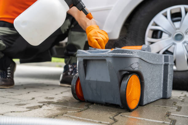 Best Emergency Tree Removal  in St Petersburg, FL